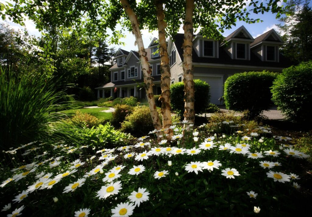 Very lush and green front garden with the house visible in the back