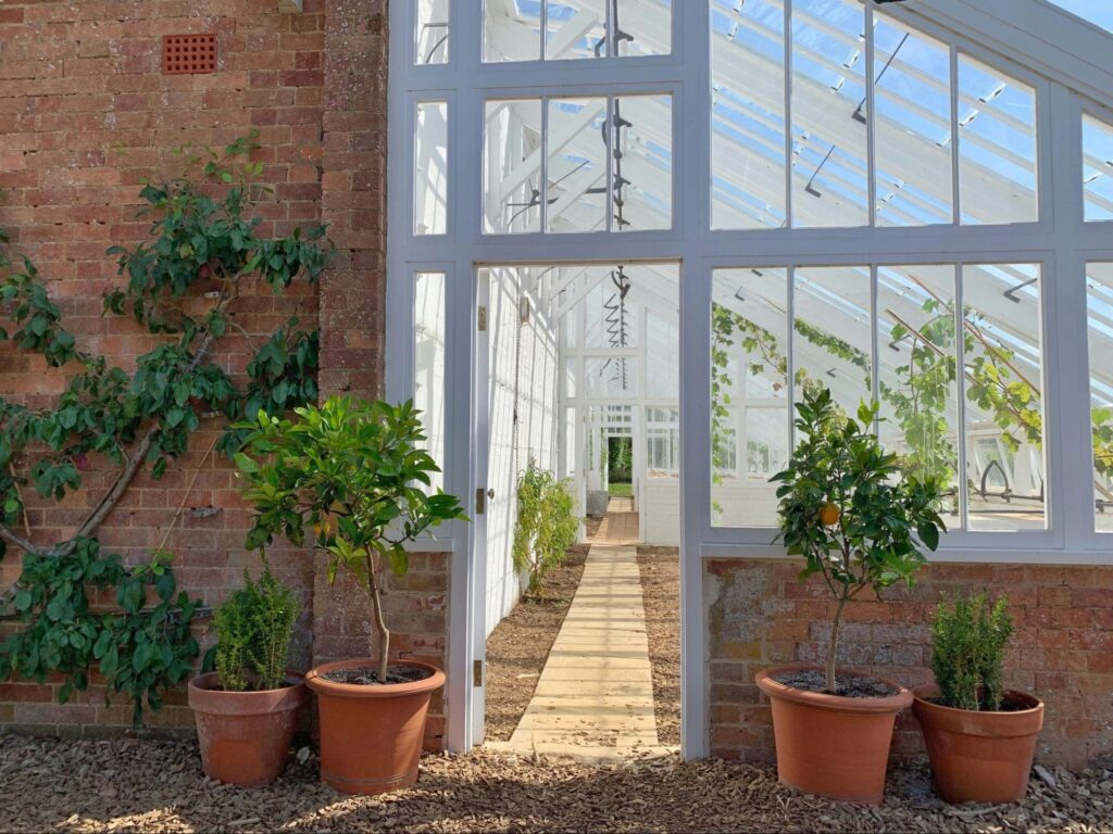 Enclosed garden space with windows