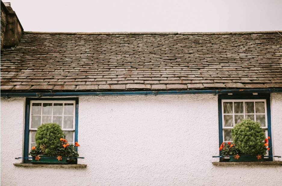 Two windows with flowers and the roof of a home