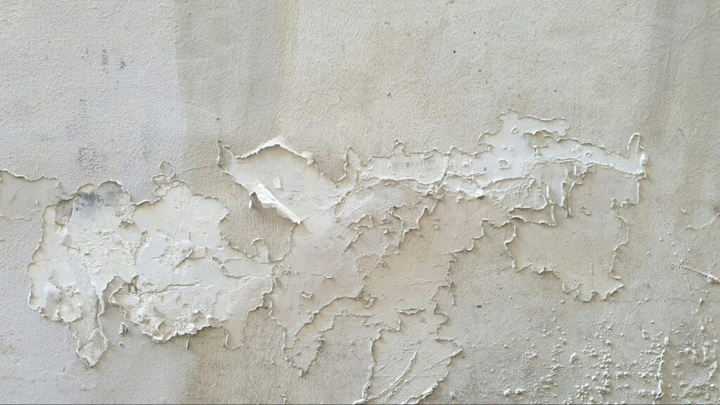 Damp wall with peeling paint