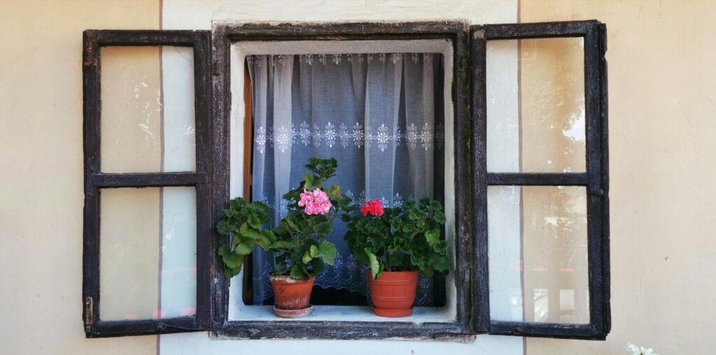 Old wooden window with flowers and a curtain